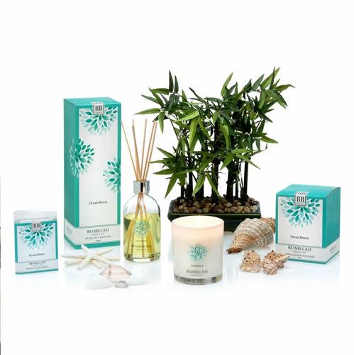 Candles and diffusers with a potted plant